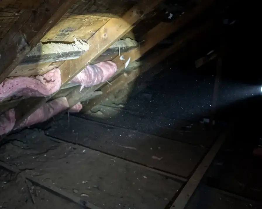 Attic rafters, sheathing and insulation at the eave under a flashlight beam