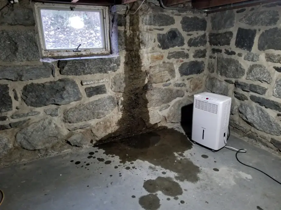 Damp fieldstone cellar corner with a small window and a dehumidifier